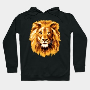 Lion Face Hoodie